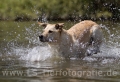 37 Wasseraction